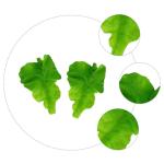 1 Satz PVC-Salat Künstliche Blätter Künstliche Pflanzen Künstliche Gefälschte Gemüsedekoration Naturgetreue Pflanzenverzierungen Lebensechtes Gemüse Gefälschtes Gemüse Gre