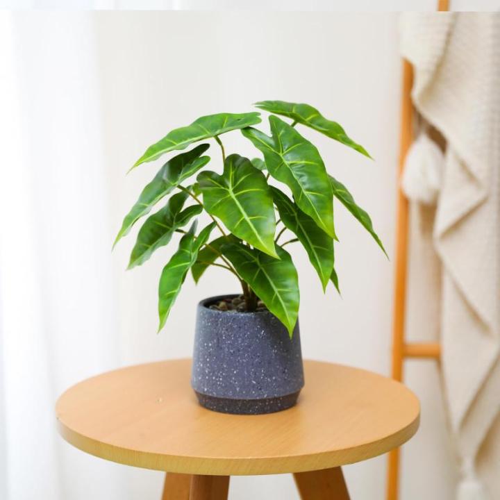 Kunstgroene plant in pot, kunstmatige vetplanten, planten in pot, 33 cm, grote groene kunstmatige plant, groen blad voor thuis, bureau, woonkamer, decoratie