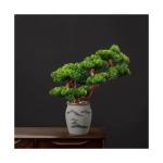 Kunstbonsai Boom Bonsai-boom, kunstmatige dennen, bonsai-interieurdecoratie, kunstmatige bonsai-planten voor interieur, kantoordecoratie (rood) kunstbomenplanten (kleur: D)