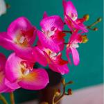 Kunstblumen Künstliches Blumenset, Seidenorchideenblumen, künstliche Bonsai-Kunstblumen-Phalaenopsis-Dekoranordnung in Goldener Vase für jeden Anlass