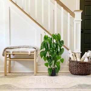 76 cm kunstplant Philodendron groot, kunstplant groot in pot, decoratieve kunstplant voor woonkamer, slaapkamer, kantoor, decoratie, indoor outdoor tuin, moderne decoratie