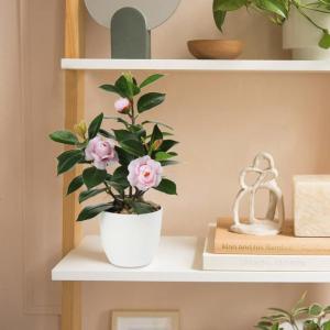 28cm Kunstpflanzen im Topf für Heimdekoration Künstliche Zimmerpflanze Camellia, Blumenarrangements Heim- und Büro Dekoration Desktop Bonsai, Kunstpflanzen mit Töpfen Tischdeko