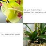 Kunst Phalaenopsis Modieuze Potplanten Decoratie Bloemstukken Tafeldecoraties