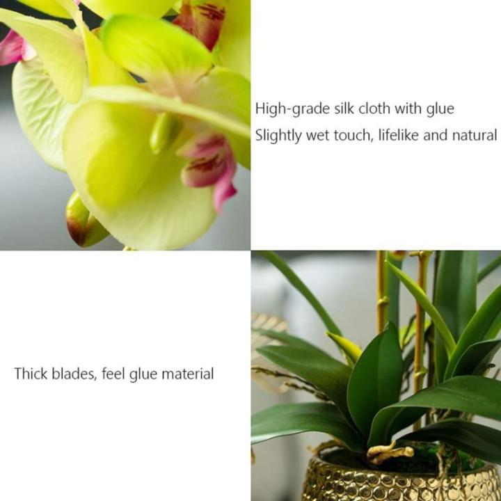 Kunst Phalaenopsis Modieuze Potplanten Decoratie Bloemstukken Tafeldecoraties