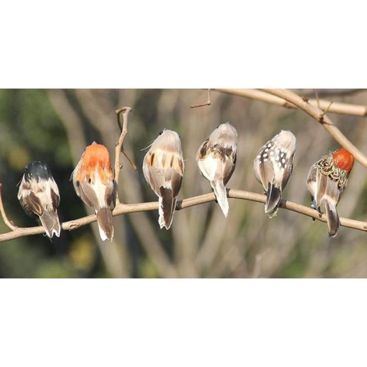 Rode kardinaal, kerstboomdecoratie, vogelknutselset voor boom, huis, tuin, feestdecoraties in de open lucht, D-12 stuks, Sparrow