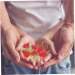 5 Sätze Simulierte Erdbeeren Künstliche Früchte Erdbeeren Küchendekoration Falsche Früchte Künstliche Erdbeeren Künstliche Erdbeeren Mini Spielzeug 18 Stück * 5