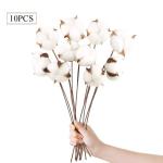10 stuks katoenen decoratie, natuurlijk gedroogde katoen, droogbloemen, decoratie voor de perfecte bruiloft, bloemenarrangementen thuis, decoratie, doe-het-zelf decoratie, thuisfee