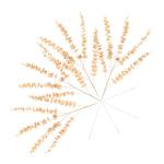 4 Stück Simulierter Ginkgo Biloba Künstliches Eukalyptusblatt Künstliche Eukalyptusstängel Gefälschte Eukalyptusstiele Hochzeitsfeier-Dekoration Simulation Verlässt Eisen Gol