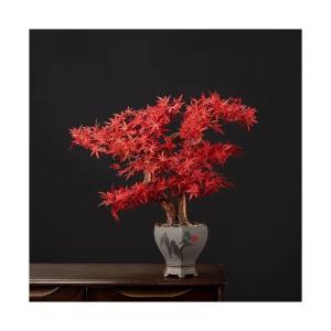 Kunstbonsai-boom bonsai-boom, kunstmatige grenen, bonsai-interieurdecoratie, kunstmatige bonsai-planten voor interieur, kantoordecoratie (rood) kunstbomenplanten (kleur: a)