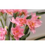 Kunstblumen Simulations-Fälschungsblume, künstliche Bonsai-Pflanzen mit Keramiktopf, Narzissen-Blumenarrangements für Hochzeitsfeiern zu Hause für jeden Anlass