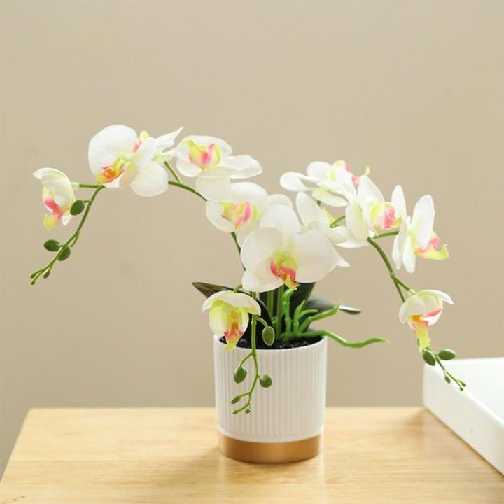 Künstliche Blume, Phalaenopsis-Bonsai-Dekoration, künstliche Orchidee, lebensechte künstliche Blume, in Weißgold-Topf mit Rand (weiß)