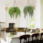 varenplanten, bonston varen, hangplant, kunstvaren, als echt voor muur, keuken, veranda, hangmand, decoratie, met hanghanger