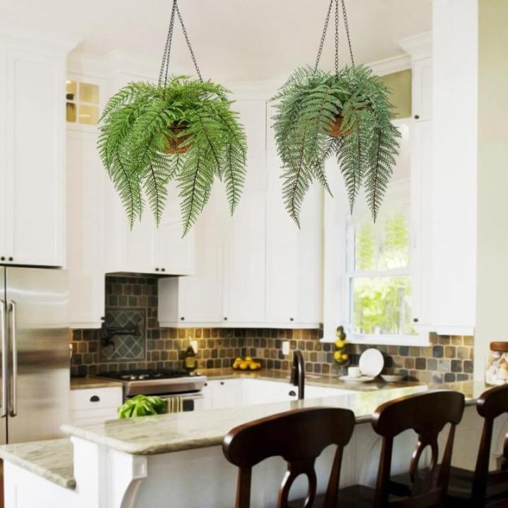 varenplanten, bonston varen, hangplant, kunstvaren, als echt voor muur, keuken, veranda, hangmand, decoratie, met hanghanger