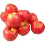 Kunstdecoratie, appel, 10 stuks, rood, 20-40 g/uur, levensecht plastic fruit, plastic vruchten, kunstfruit, decoratie, etalage, huishouden, keuken, feest, hotel, kinderkeuken, spee