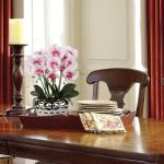 Kunstplant orchideeën kunstbloemen kunstbloemen als echt met echte bloemen in keramische pot tafeldecoratie vensterbank decoratie, hoogte 44 cm, roze