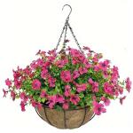 Hängende Blumenpflanze im Korb für Frühlingshochzeitsveranda-Gartenhöfe