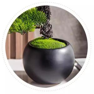 Künstlicher Bonsai-Baum Simulierte Willkommens-Kieferndekorationen im chinesischen Stil, Zypressen, kleine Pflanzen, Wohnzimmer, Heimdekorationen, künstliche Kiefer, Bonsai Küns