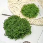 100 g kunstmos om te decoreren, knutselmos, nep decoratief mos om te knutselen, decoratie, voor muur, kerststal, aquarium, creatief groen, kamerplantendecoratie, modelbouw, donkerg