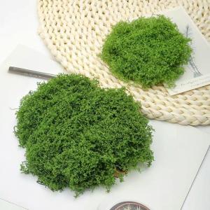 100 g kunstmos om te decoreren, knutselmos, nep decoratief mos om te knutselen, decoratie, voor muur, kerststal, aquarium, creatief groen, kamerplantendecoratie, modelbouw, donkerg