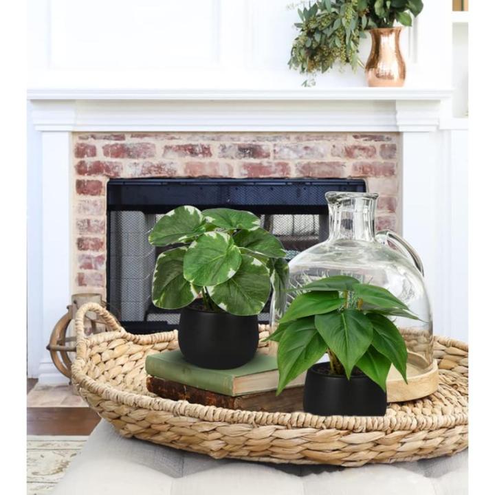 Set van 3 als echte kunstkamerplanten, decoratieve planten voor woonkamer, badkamer, hoogte ca. 15 cm, in zwarte keramische pot