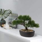 Kunstbonsai Natuurgetrouwe kunstplant, kunstboom, bonsai, ceder, grenen, podocarpus, plastic plant, kunstplant met keramische pot in zwart, voor badkamerdecoratie, desktop, kantoor