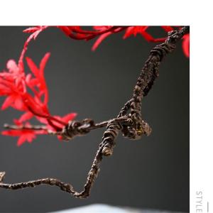 Künstlicher Bonsai-Baum Simulation Grün Bonsai Kiefer Topfpflanze Dekorationen Kleine Ornamente Wohnzimmer Eingang Desktop Dekorationen Künstliche Bäume Pflanzen