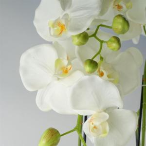 Realistische künstliche Orchideenpflanzen, vollständig getopft