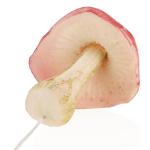 4 x vliegenzwammen - kunstmatige paddenstoelen om in kransen en bloemstukken te steken - spons als leuke herfstdecoratie - kunstpaddenstoelen