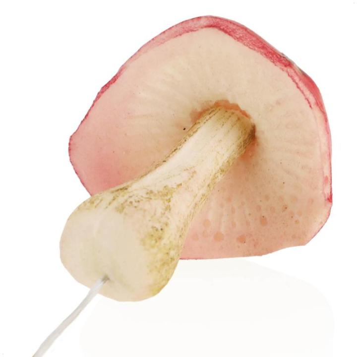 4 x vliegenzwammen - kunstmatige paddenstoelen om in kransen en bloemstukken te steken - spons als leuke herfstdecoratie - kunstpaddenstoelen