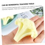 4 Stück Blumenkohl Modell Künstliches Gemüse Brokkoli Künstlicher Brokkoli Lebensechte Brokkoli Brokkoli Spielzeug Simulation Brokkoli Dekorativer Brokkoli