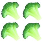20 STK Simulierter Blumenkohl Dekorative Gemüsemodelle Realistische Gemüseattrappen Kunstpflanzen lebensechtes Gemüse simulierte Gemüsebrokkolischeibe simulierte Brokkoli-Model