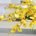 Kunstblumen Künstliche Blumen im Keramiktopf, gefälschte Orchideen-Phalaenopsis-Blumenarrangement für Zuhause, Büro, Küche, Schlafzimmer, Dekoration für jeden Anlass