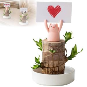 Mini Brasilien Lucky Wood, Brazilian Lucky Wood Plant, Hydroponic Tree Stump IndoorOffice Desktop Plant to Purify Indoor Air Live Feng Shui Decor, Easy Growth (Pig)
