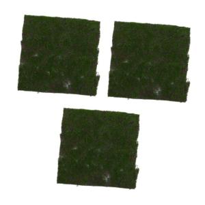 3st Simulierter Moosrasen Künstliche Grüne Wand Blumenwand Hintergrund Graswand Gras-Wand-dekor Putting-Green Im Freien Kunstrasen Balkon Teppich Balkon-sichtschutz Tuften