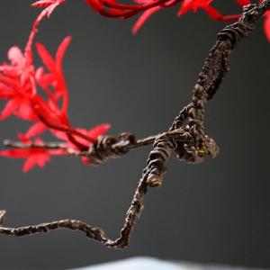 Künstlicher Bonsai-Baum Kunst-Zedern-Bonsai-Baum-Kunstpflanzen-Dekoration, Zimmerpflanze, weißer runder Topf, Höhe 20,8 cm Künstliche Bäume Pflanzen (Color : Red), WANGJIANJUN