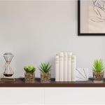 Kunstplant kunstmatige vetplant kamerplant decoratieve woonkamer, badkamer decoratieve plant vetplant, hoogte 10,5 cm, in glazen pot, set van 4