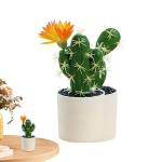 Künstlicher Kaktus – künstlicher Kaktus, dekorativ, modern, realistisch, Kaktusornament für , Schreibtisch und Tisch, Innengrün, pflegeleicht, perfekt