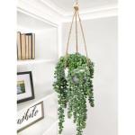 Senecio Kunstmatige planten hangplant voor vetplanten, kunstbloemen, , hoogte 35,5 cm, in hanglamp