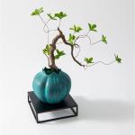 Künstlicher Bonsai-Baum Künstliche Bonsai-Baumpflanzen mit Vintage-blauen Töpfen, Simulationsblume, künstliche Topfpflanze, elegante Innen-, Büro- und Wohnzimmer-Desktop-Dekor