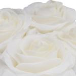 Rozenbox rond, 4 rozen, stevige bloemenbox, wit, 10 jaar houdbaar, cadeau-idee, decoratieve bloemenbox, wit, 14 x 13 x 13 cm