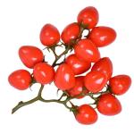 5 Stück Simulierte Kleine Tomaten Kirschen Kunstobst Dekor Realistische Obst Foto Requisite Obst Requisite Obst Fotografie Requisiten Party Dekor Künstliche Früchte