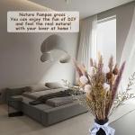 Pampas gedroogde bloemen, decoratie, natuur, 63 stuks, doe-het-zelf, gedroogde bloemen, boeket, ideaal voor boho, woonkamer, slaapkamer, vazen (LZGSGO-0103)