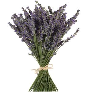 Lavendel Gedroogde lavendel boeketten 400+ stelen (40-45 cm) Voor wooncultuur, handwerk, cadeau, bruiloft of elke gelegenheid