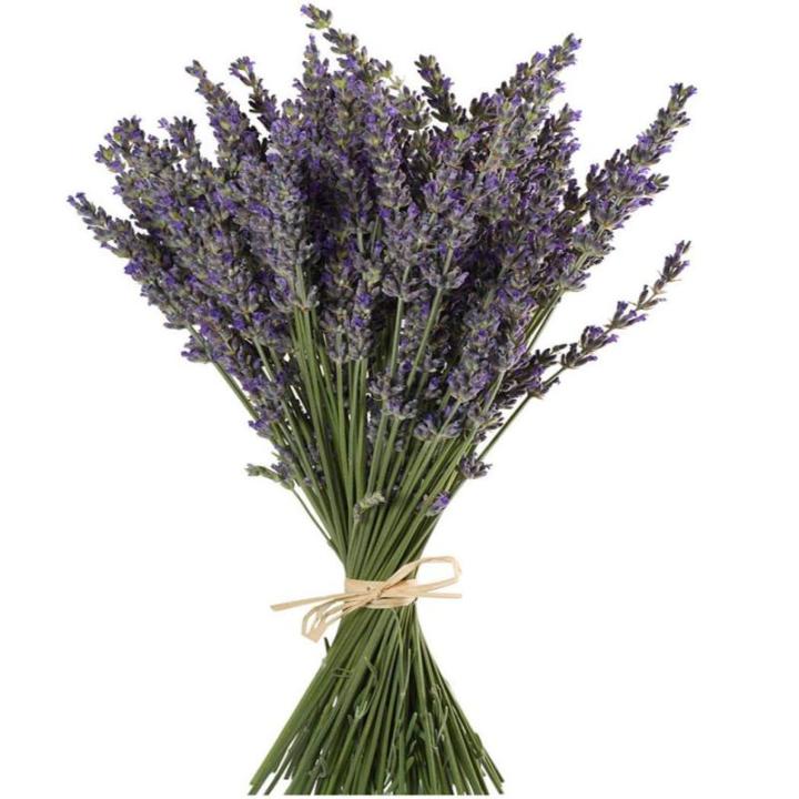 Lavendel Gedroogde lavendel boeketten 400+ stelen (40-45 cm) Voor wooncultuur, handwerk, cadeau, bruiloft of elke gelegenheid