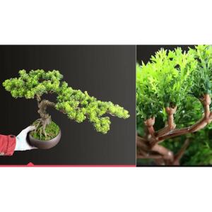 Künstlicher Bonsai-Baum Künstlicher Bonsai-Baum, künstliche Pflanze, Topfbaum, künstliche Pflanzen, künstliche Bonsai-Kiefer, künstliche Bonsai-Pflanzen for Zuhause, Büro, D
