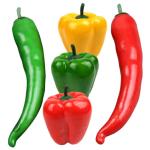 5 Sätze Simulationsmodell Paprika Falscher Chili Schäumt Chili Auf Food-Modell-Requisite Realistische Paprika Gefälschte Chilischoten Gemüse Falsches Chili Poly-Drache 5 Stück