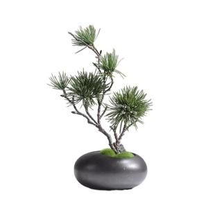Künstlicher Bonsai-Baum Chinesischen Stil Simulation Einladende Kiefer Kleine Bonsai Dekoration Keramik Vase Set Anlage Desktop Dekoration Gefälschte Kiefer Künstliche Bäume Pf