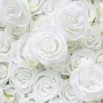 Weißer Rosen-Blumen-Wand-Hintergrund, Künstlicher Wand-Blumen-Hintergrund 3D-Seiden-Hortensie-Rosen-Blumen-Panel Für Foto-Hintergrund-Home-Party-Hochzeits-Hintergrund-Dekoration
