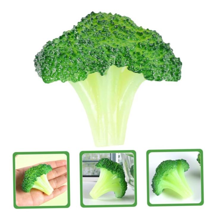 20 STK Simulierter Blumenkohl Dekorative Gemüsemodelle Realistische Gemüseattrappen Kunstpflanzen lebensechtes Gemüse simulierte Gemüsebrokkolischeibe simulierte Brokkoli-Model