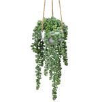 Senecio Kunstmatige planten hangplant voor vetplanten, kunstbloemen, , hoogte 35,5 cm, in hanglamp